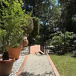 Numeroquattro- Light Blue In Con Giardino E Piscina Apartment *