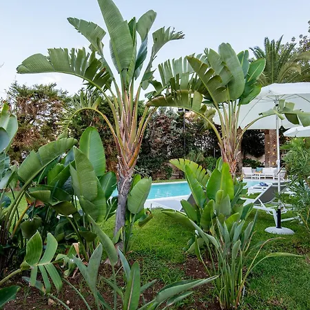 Apartment Numeroquattro- Light Blue In Con Giardino E Piscina