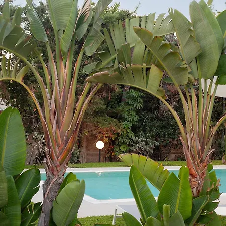 Apartment Numeroquattro- Light Blue In Con Giardino E Piscina Syrakus