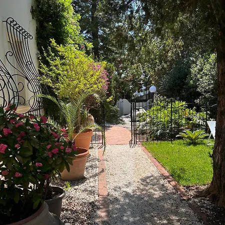 Apartment Numeroquattro- Light Blue In Con Giardino E Piscina *